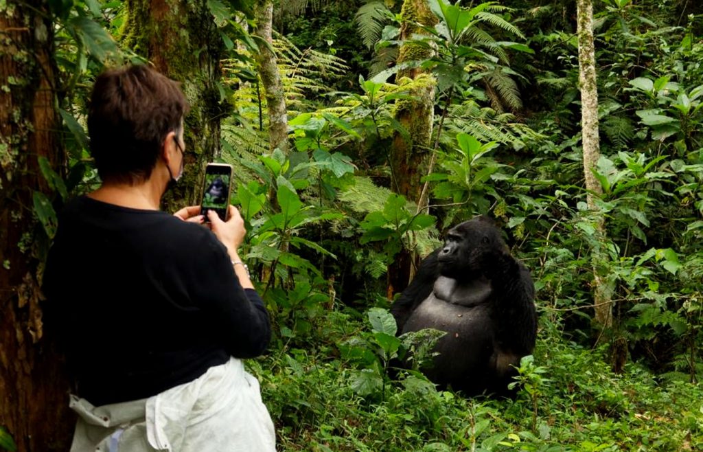 5-jours-de-safari-en-ouganda-pour-la-faune-et-les-gorilles-de-bwindi
